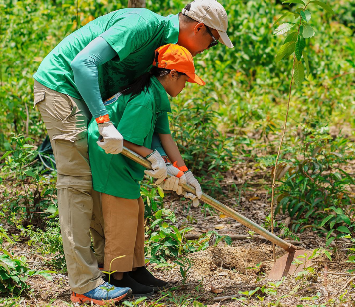 Diageo Việt Nam: Nỗ lực trồng cây xanh để bảo vệ môi trường