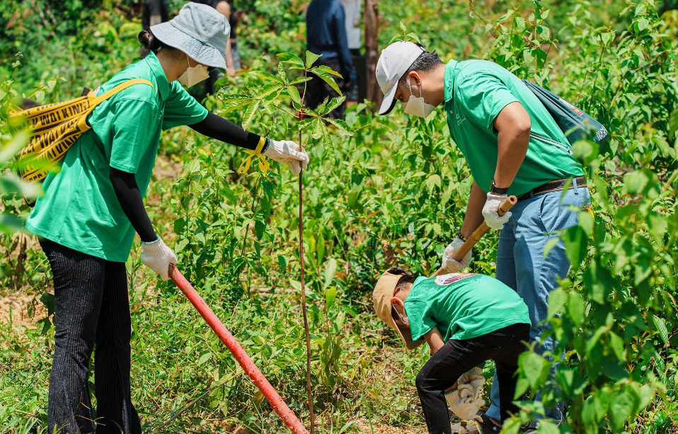 Diageo Việt Nam: Nỗ lực trồng cây xanh để bảo vệ môi trường